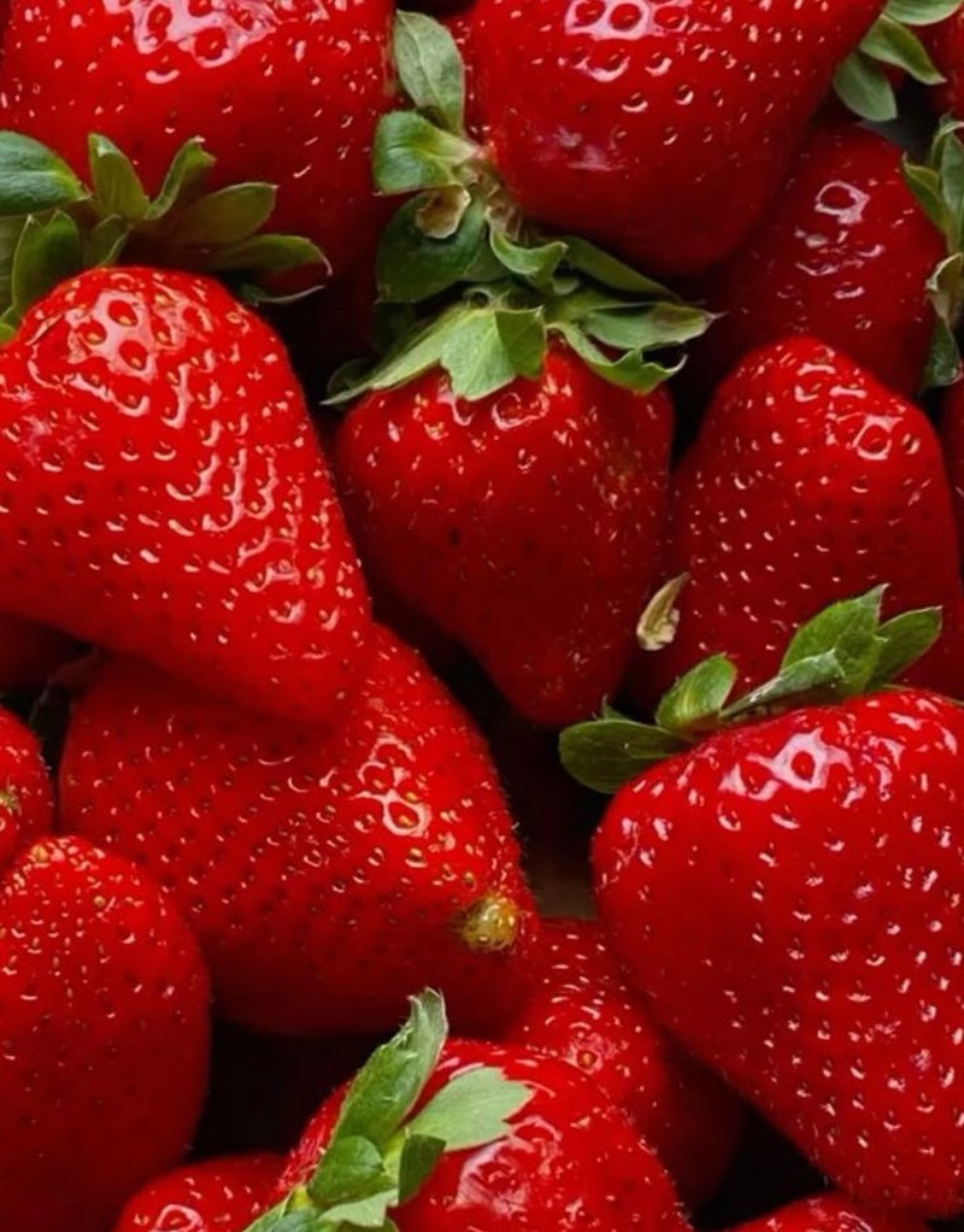 Fragole fresche